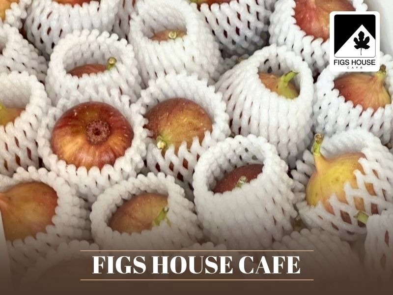 คาเฟ่สวนฟิกส์ศรีราชา
