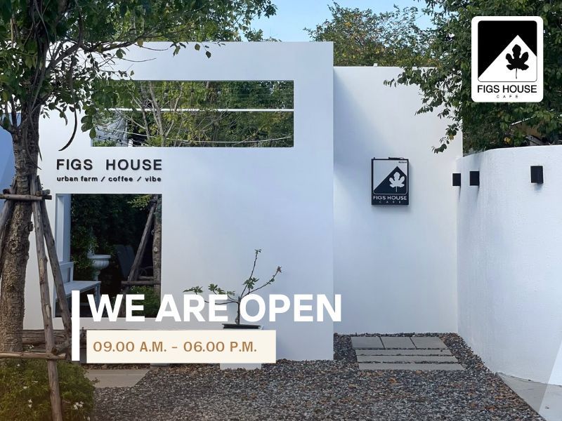 คาเฟ่ชลบุรี